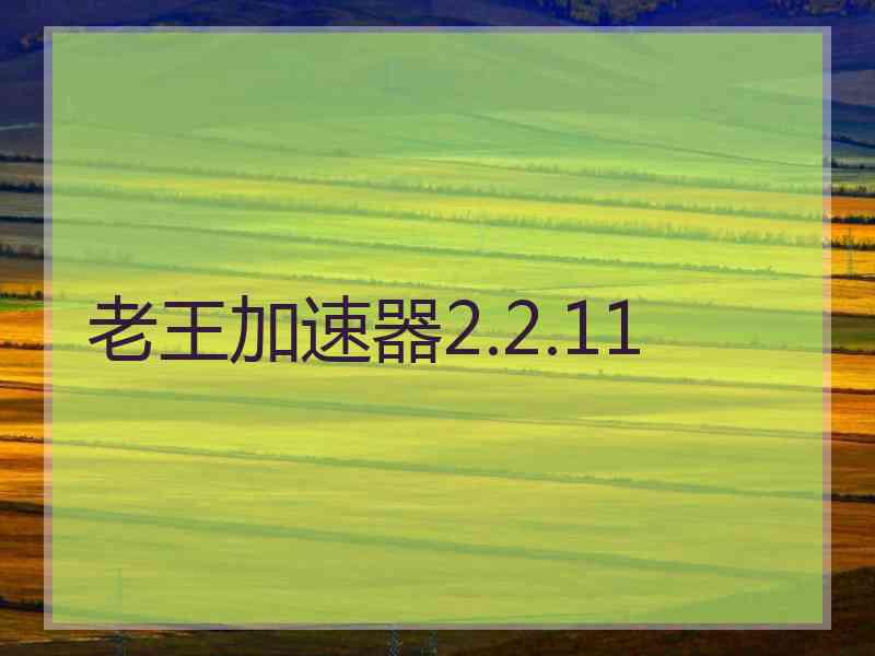 老王加速器2.2.11