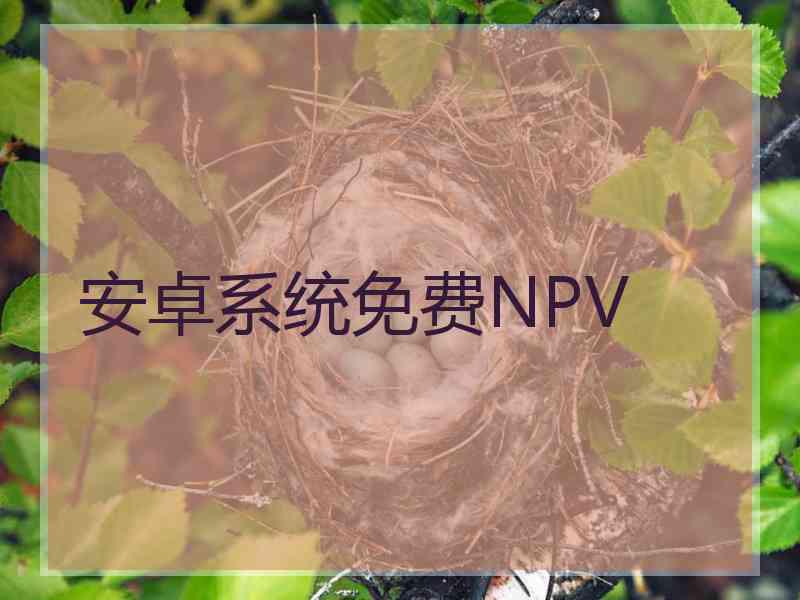 安卓系统免费NPV