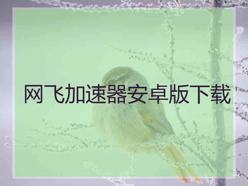 网飞加速器安卓版下载