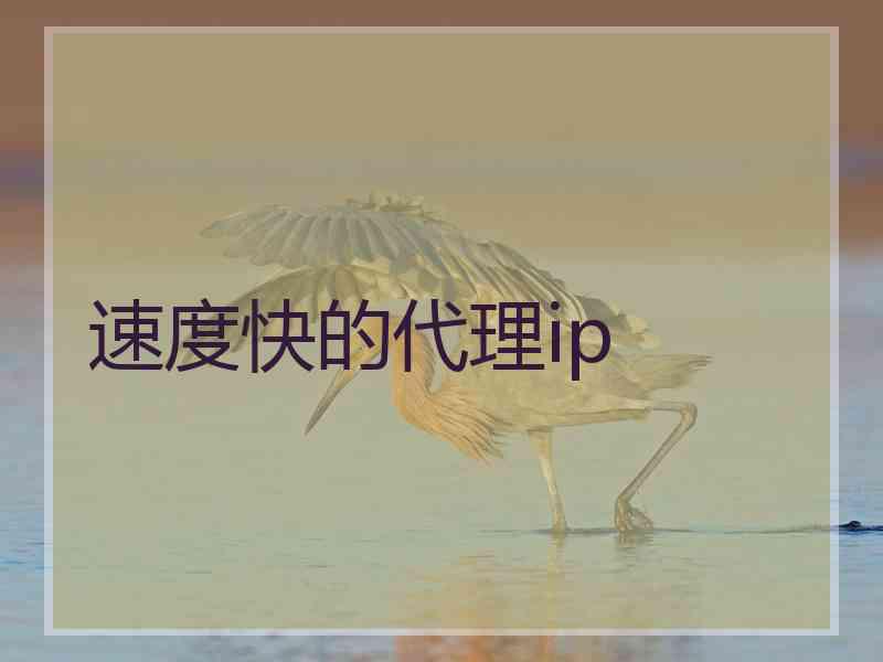 速度快的代理ip