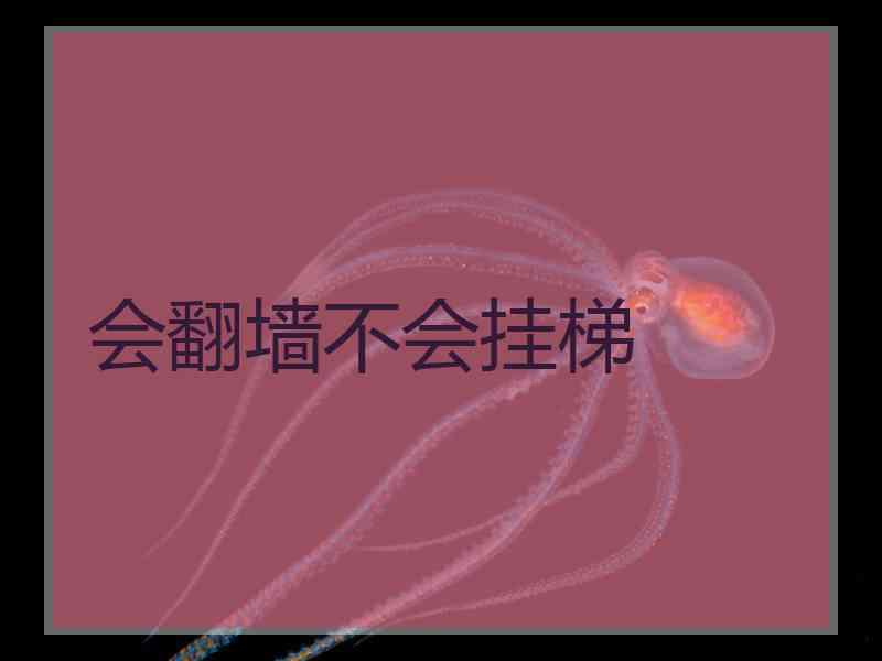 会翻墙不会挂梯