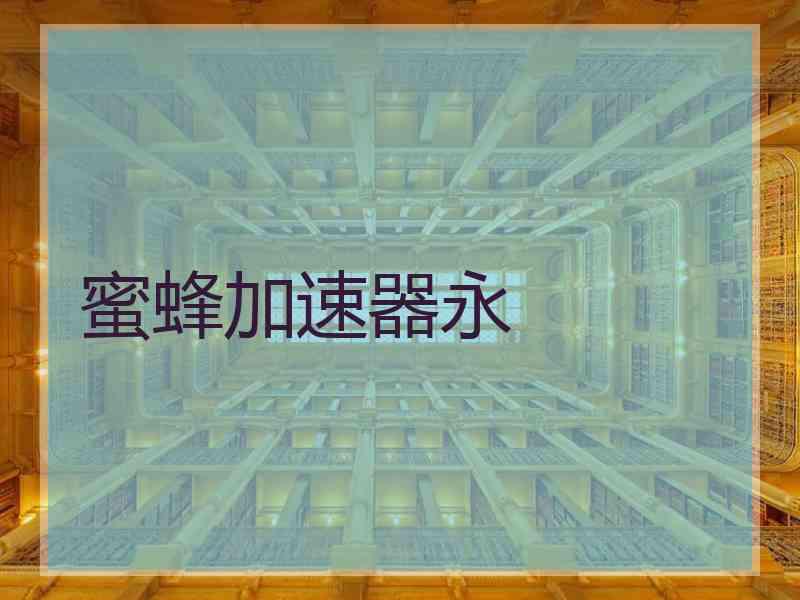 蜜蜂加速器永
