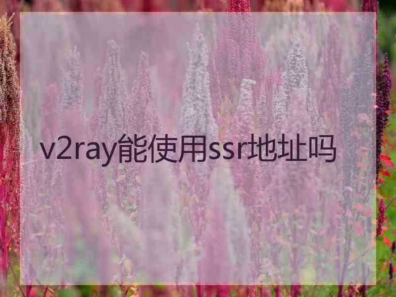 v2ray能使用ssr地址吗