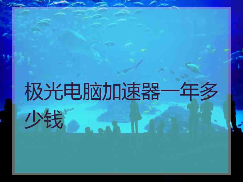 极光电脑加速器一年多少钱