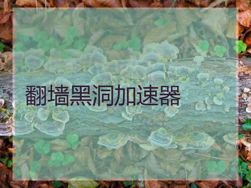 翻墙黑洞加速器