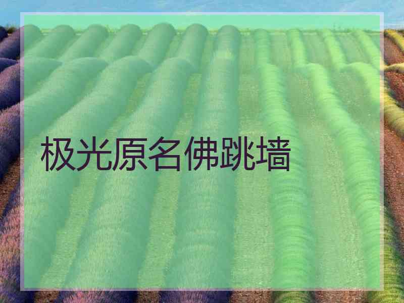 极光原名佛跳墙