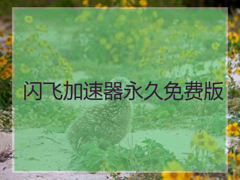 闪飞加速器永久免费版