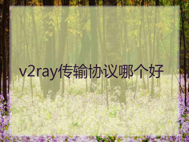 v2ray传输协议哪个好