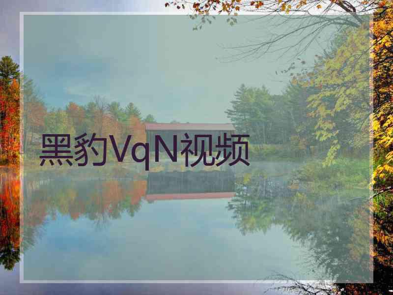 黑豹VqN视频