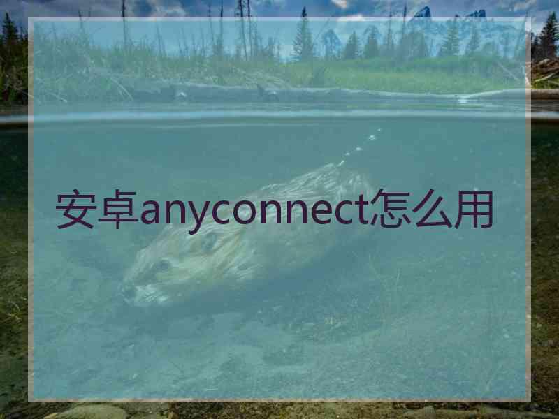 安卓anyconnect怎么用
