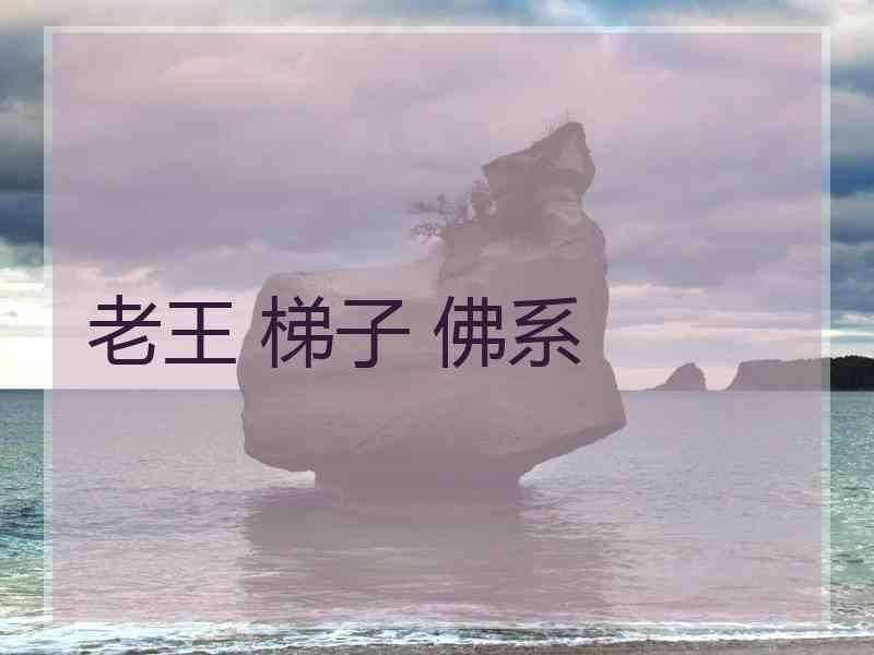 老王 梯子 佛系