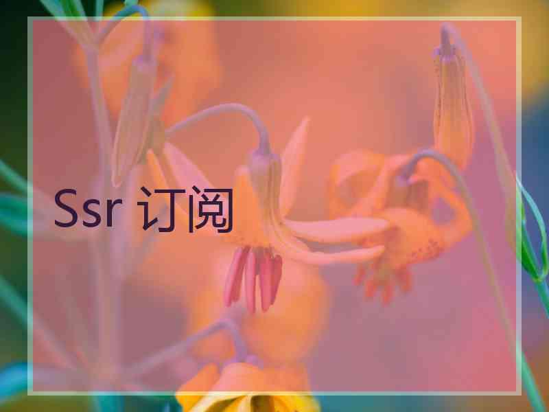 Ssr 订阅