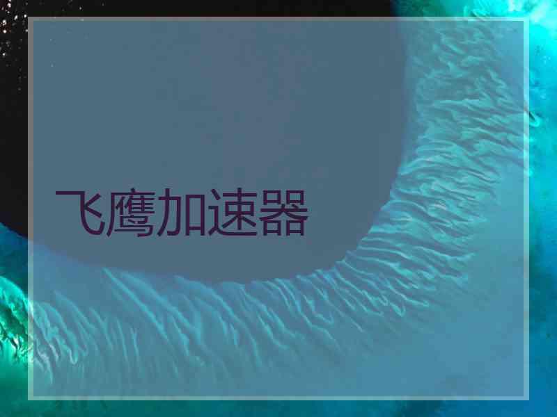 飞鹰加速器