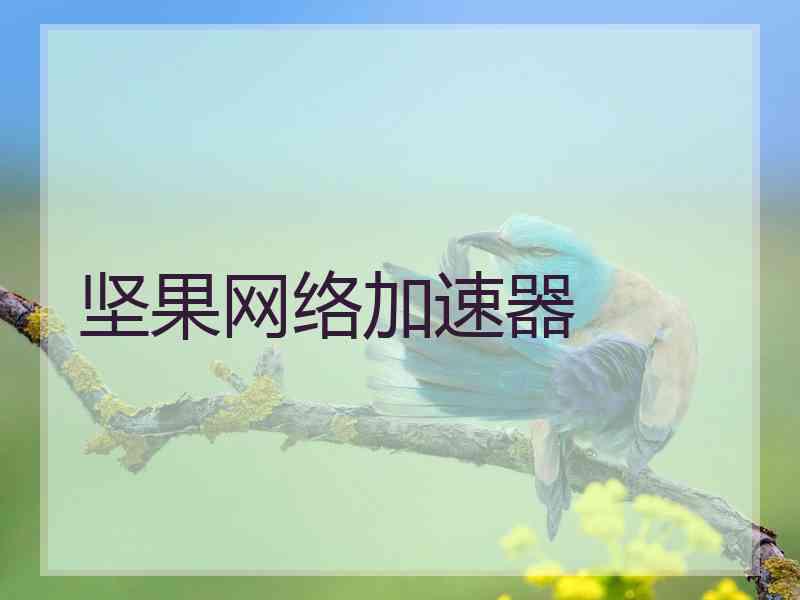 坚果网络加速器