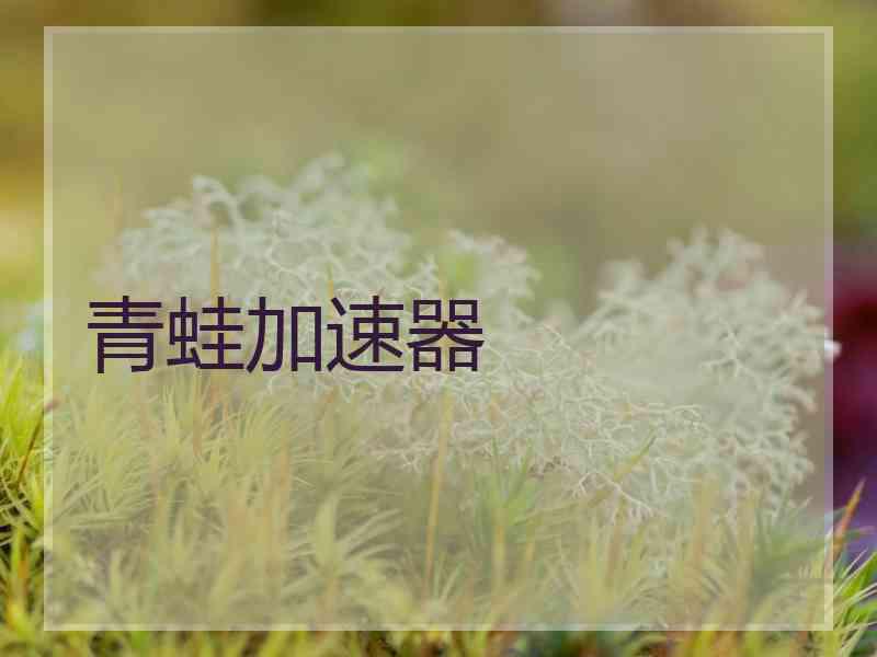 青蛙加速器