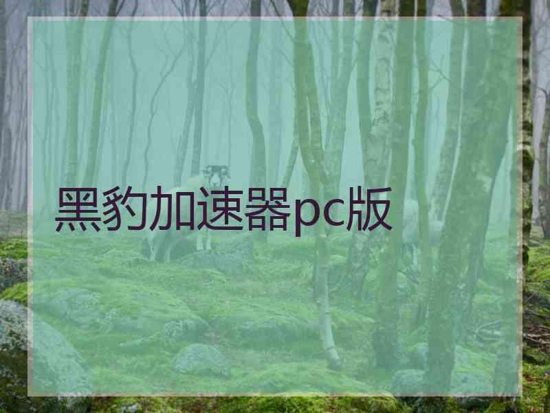 黑豹加速器pc版