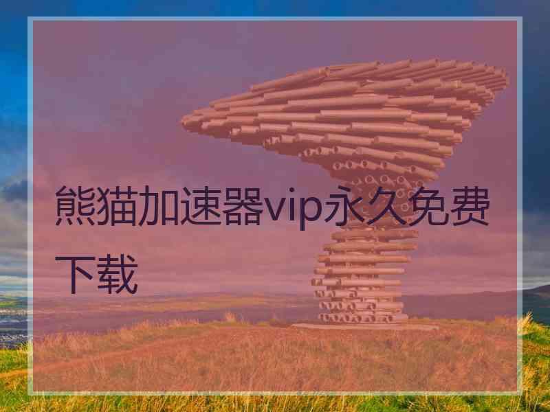 熊猫加速器vip永久免费下载
