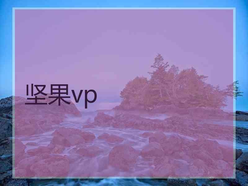 坚果vp