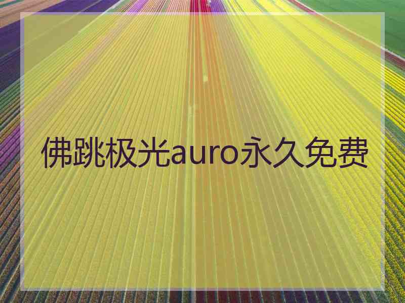 佛跳极光auro永久免费
