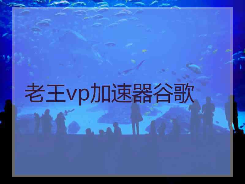 老王vp加速器谷歌