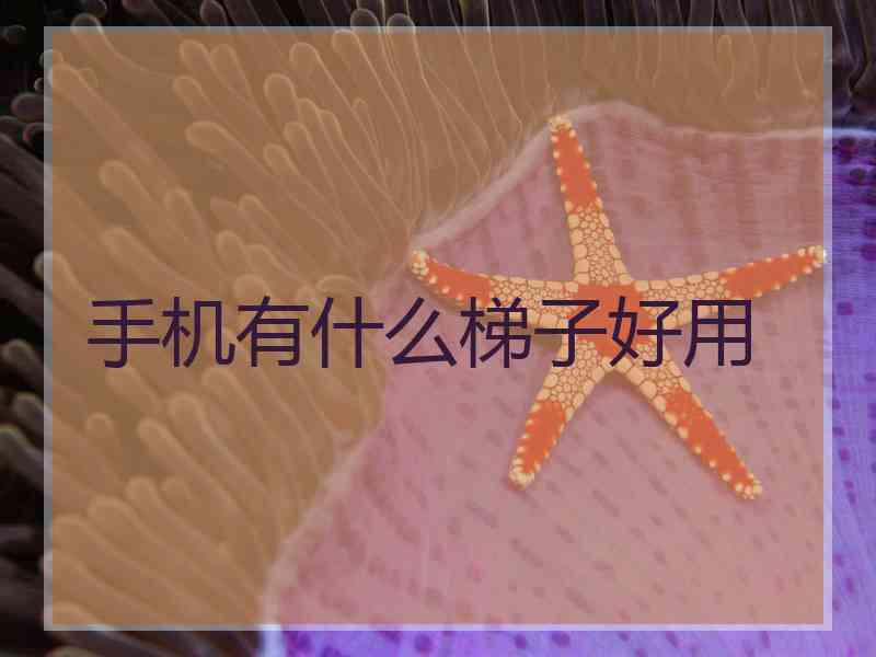 手机有什么梯子好用