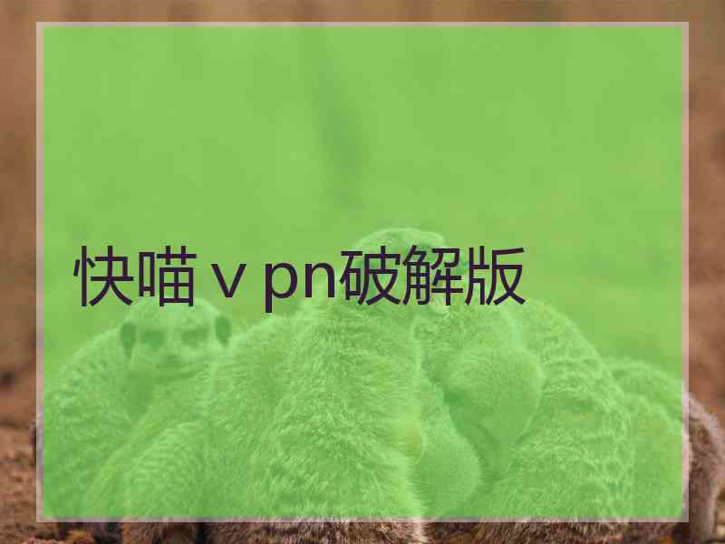 快喵ⅴpn破解版