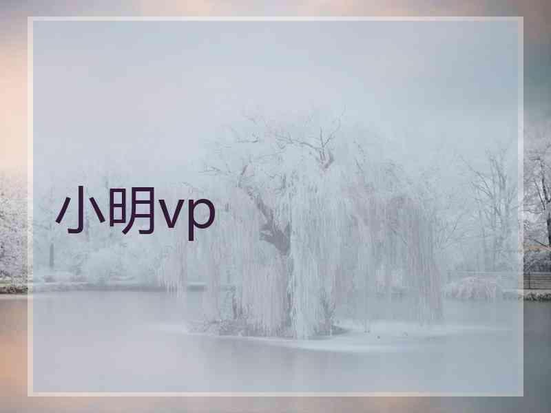 小明vp