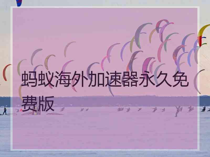 蚂蚁海外加速器永久免费版