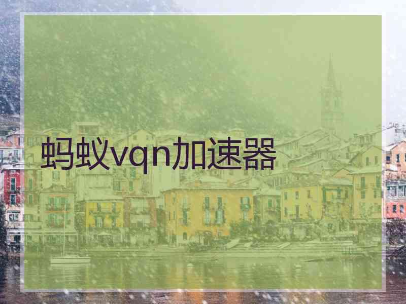 蚂蚁vqn加速器