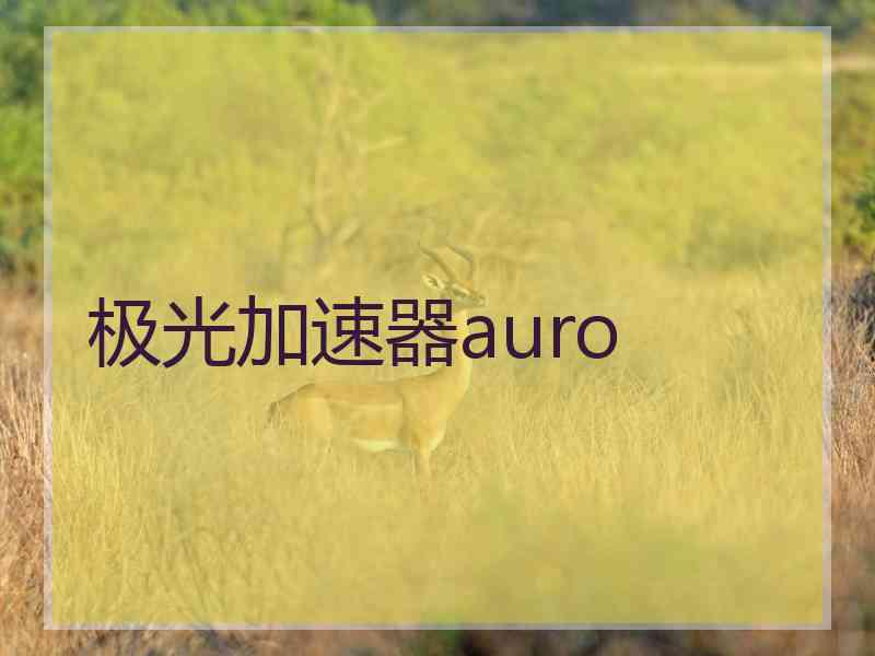 极光加速器auro