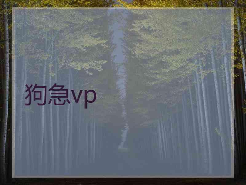 狗急vp
