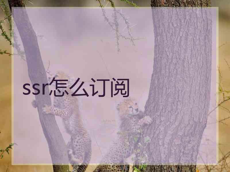 ssr怎么订阅