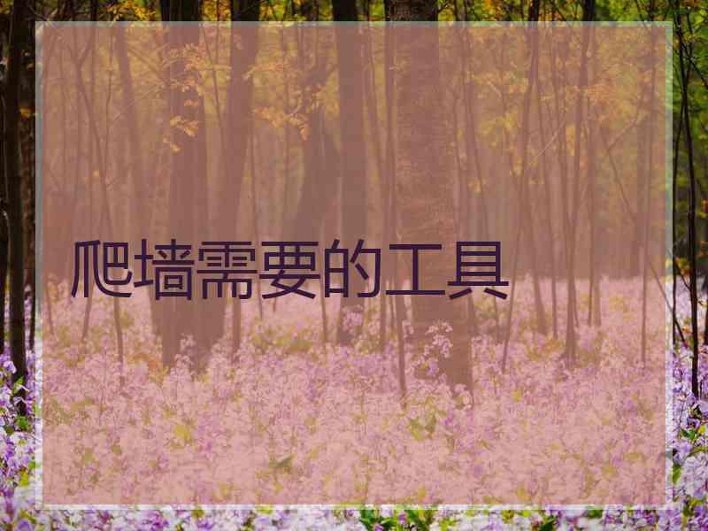 爬墙需要的工具