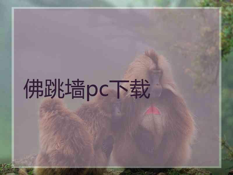 佛跳墙pc下载