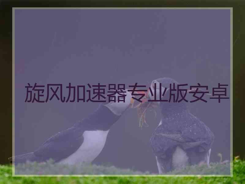 旋风加速器专业版安卓