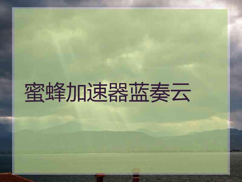 蜜蜂加速器蓝奏云