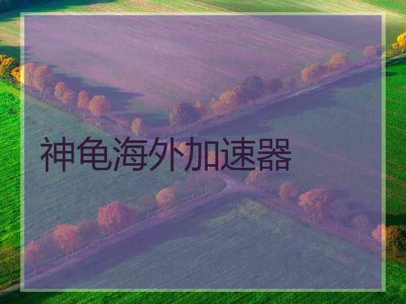神龟海外加速器