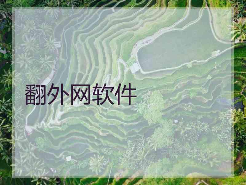 翻外网软件