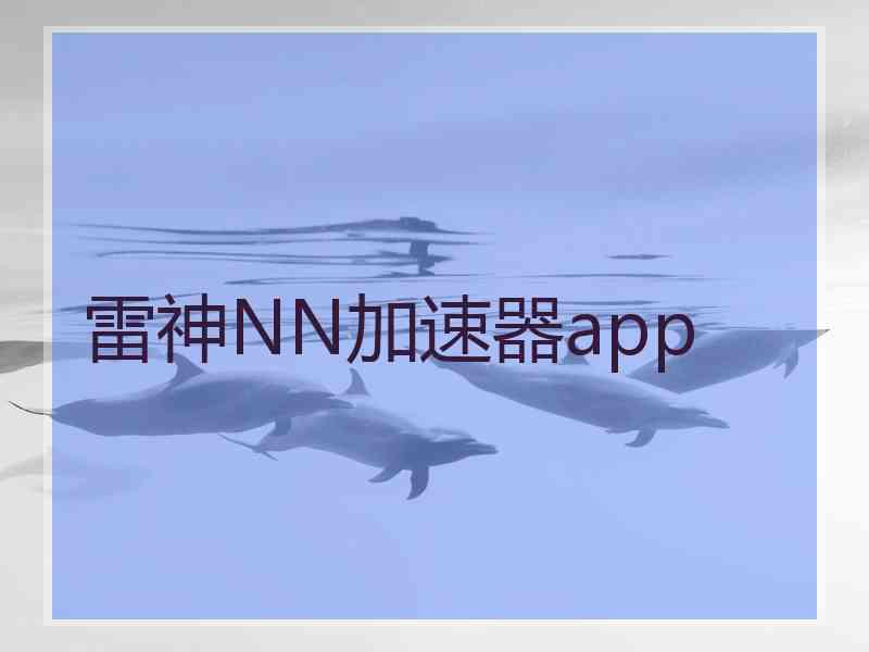 雷神NN加速器app