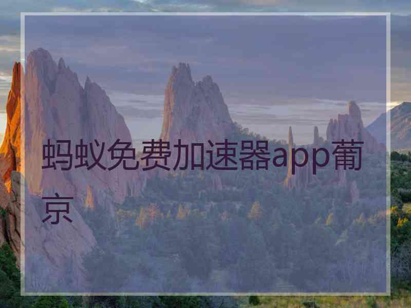 蚂蚁免费加速器app葡京