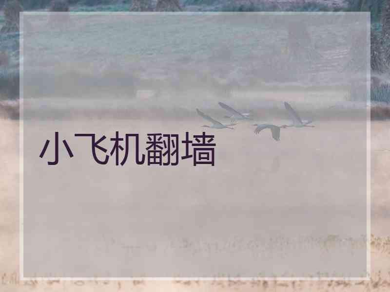 小飞机翻墙