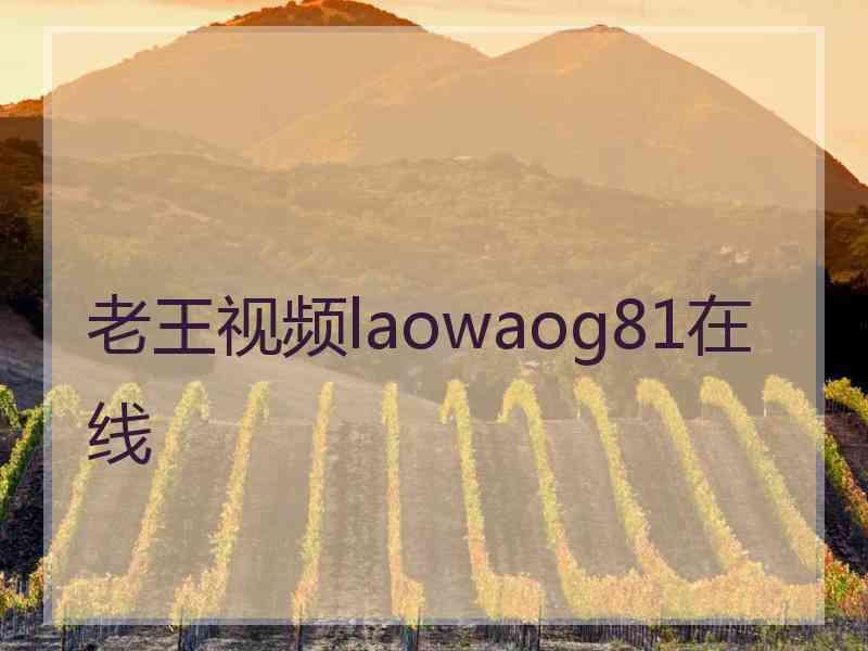 老王视频laowaog81在线
