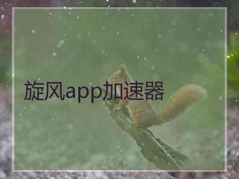 旋风app加速器