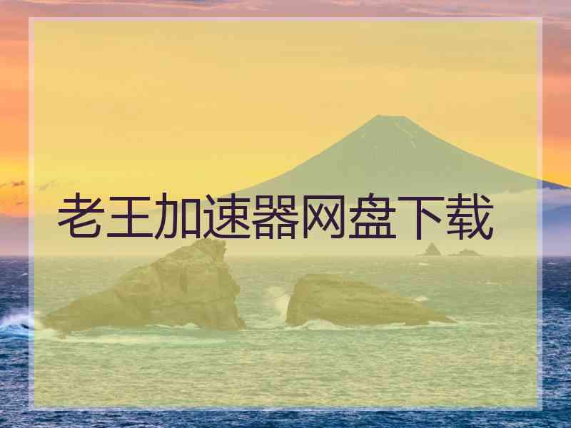 老王加速器网盘下载