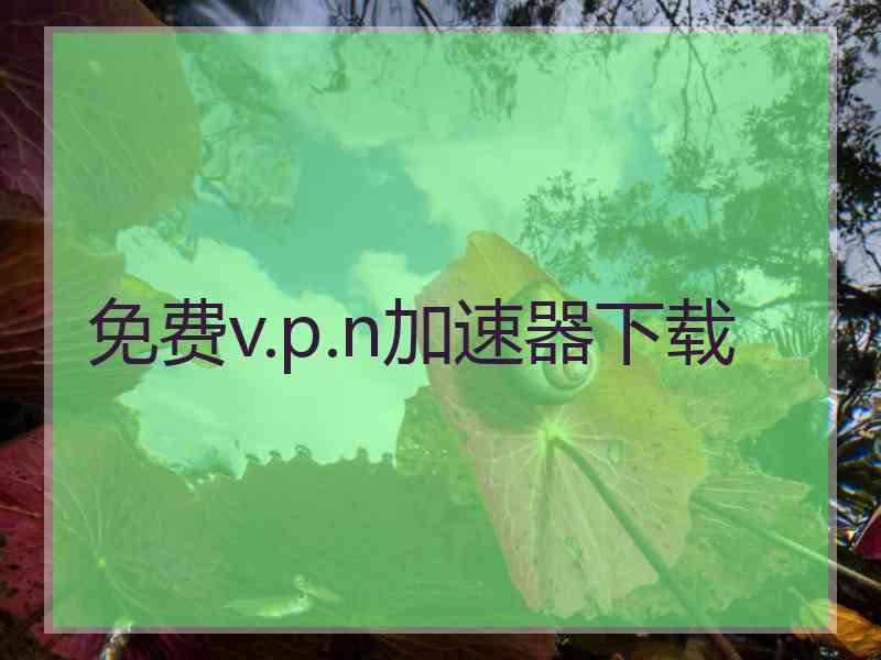 免费v.p.n加速器下载