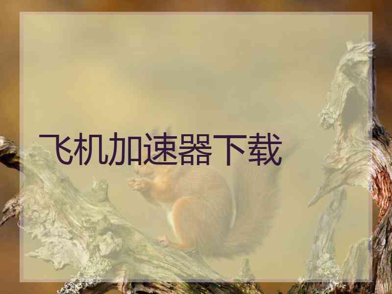 飞机加速器下载