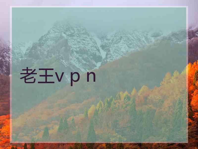 老王v p n