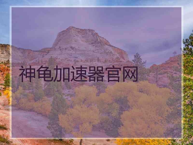 神龟加速器官网