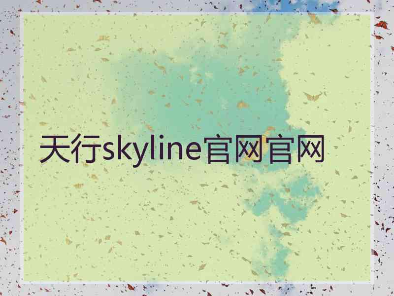 天行skyline官网官网