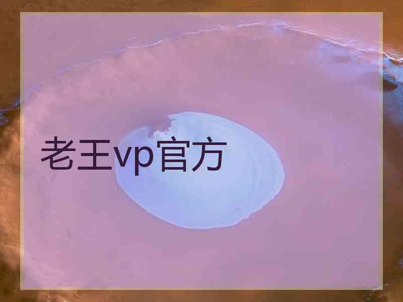 老王vp官方